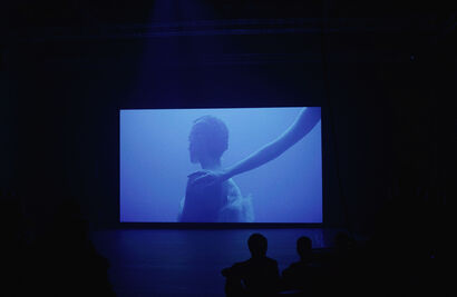 Untamed - a Video Art Artowrk by Donna Volta Newmen