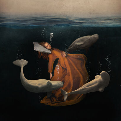 Arctic Berceuse - A Photographic Art Artwork by Fiona Hsu