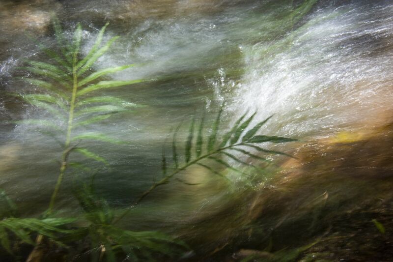 Photosyntax (Transient Waters) - a Photographic Art by Juan Paulhiac