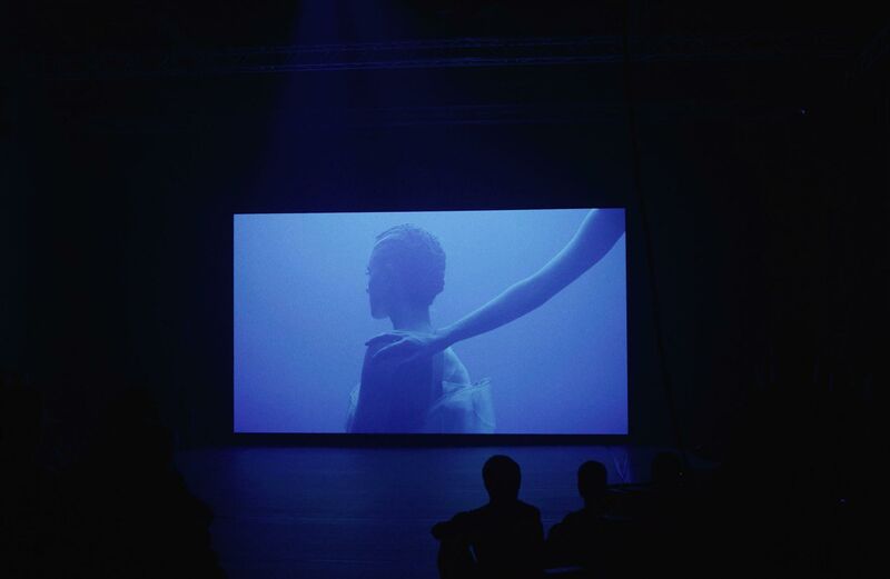 Untamed - a Video Art by Donna Volta Newmen