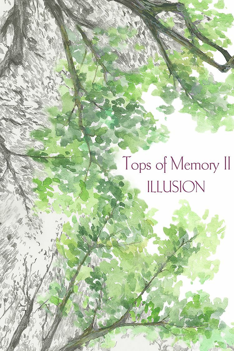 Tops of Memory II ILLUSION - a Video Art by Jialiang Liu