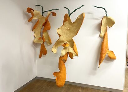 PEELed: Wisdom of Elders - a Sculpture & Installation Artowrk by Daniella Rubinovitz