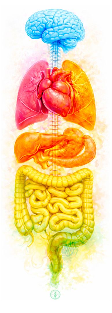 ProtoAtlasOne - a Digital Art Artwork by deNIse