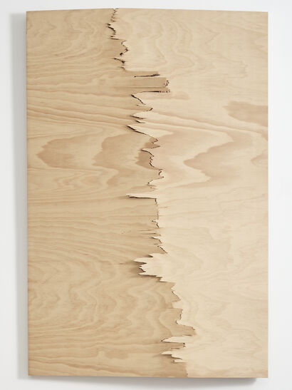 Study#1 - a Sculpture & Installation Artowrk by Becker Steven