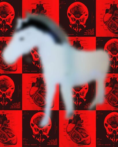 Loose Horse 012 - a Photographic Art Artowrk by JW Andrew