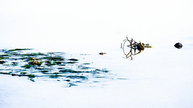 Life on water - a Photographic Art by Yvon Jolivet
