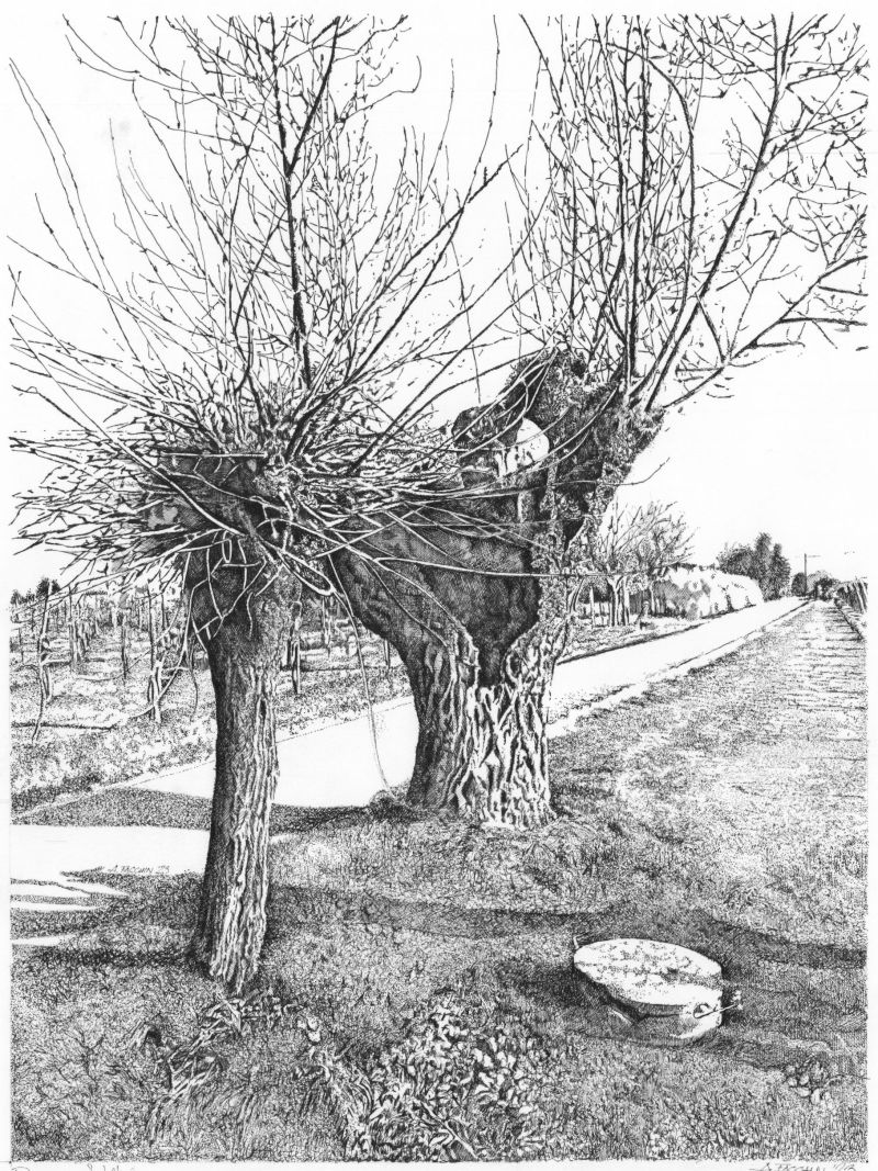 Salice e pioppo lungo una strada di campagna - a Paintings by ALESSANDRO FACCHIN