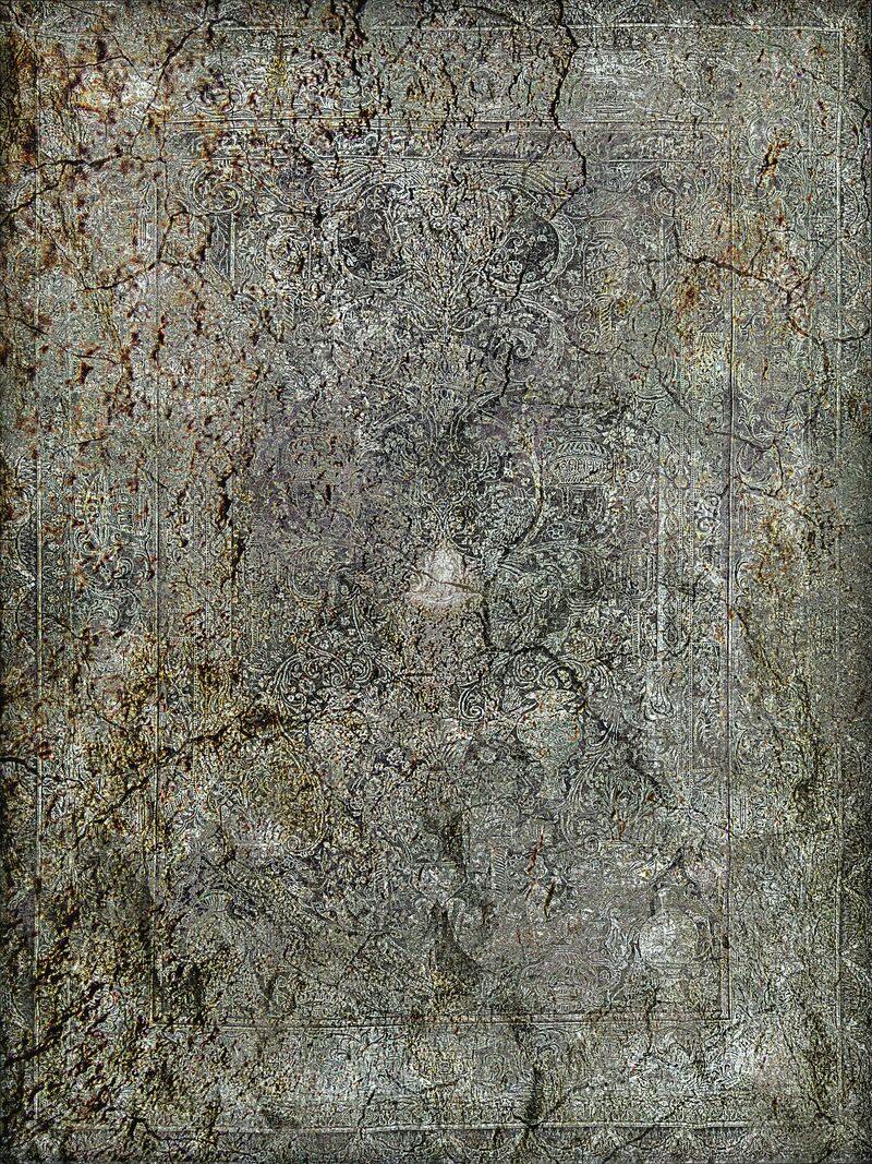 「A spirit dwelling in a petrified persian rugⅡ」  - a Photographic Art by Toyonari Fukuta