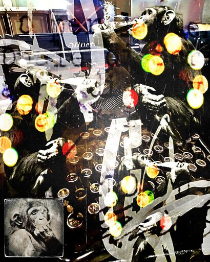 infinite monkey 01 - a Photographic Art Artowrk by JW Andrew