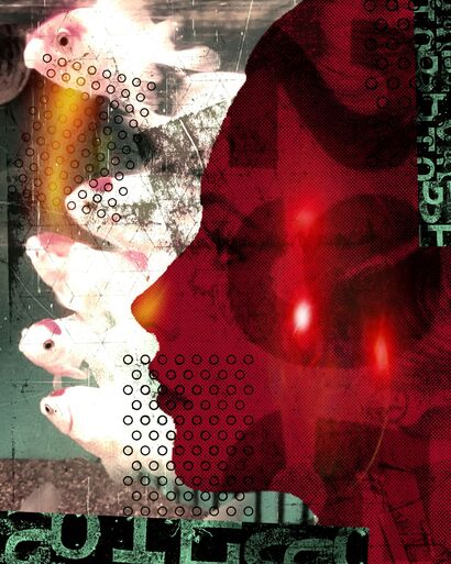 goldfish0179 - a Photographic Art Artowrk by JW Andrew