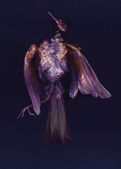 Morgue 2 (obitorio) - a Photographic Art Artowrk by Dante Velloni
