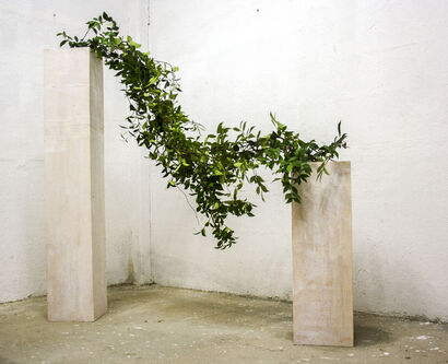 Coesistenze - A Sculpture & Installation Artwork by Samantha Passaniti