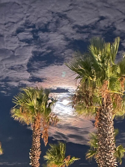 MOON BETWEEN PALMS - A Photographic Art Artwork by Manon