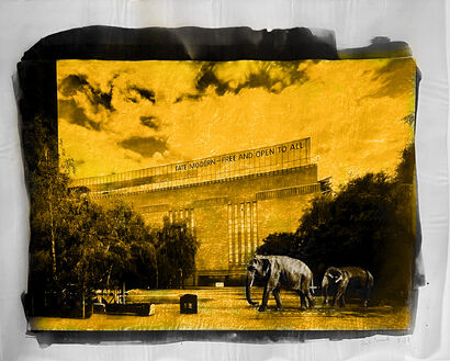 Elephants Enjoy a Day at the Tate - a Photographic Art Artowrk by Paal Anand