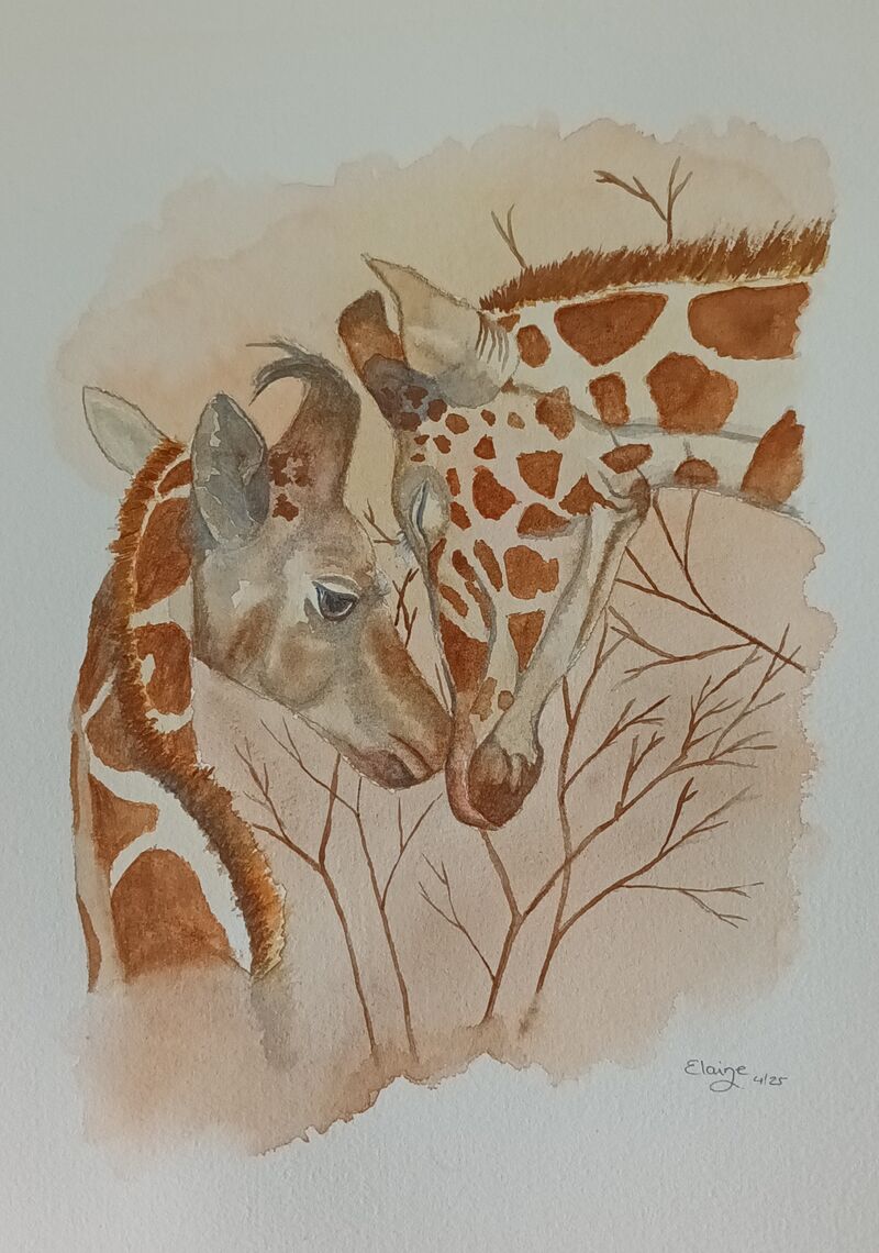 Mother's Love - a Paintings by Elaine  Panicco 