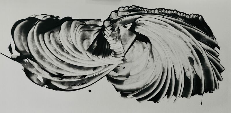 In black and white IV - a Paint by Janice Young