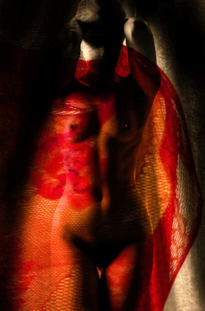 Muse - a Photographic Art Artowrk by corrie ancone