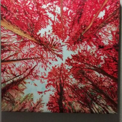 Red Forest - A Paint Artwork by Olivera Jonovic