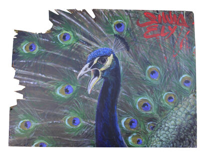 Peacock - A Paint Artwork by Silviaely