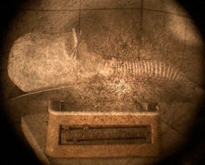 Head Metaphysics. Phase 1. New Born Baby. - a Photographic Art Artowrk by Leo Bacharach