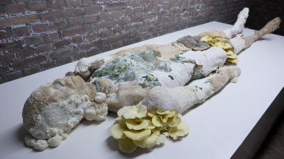 The Fruiting Body II - a Sculpture & Installation Artwork by lin gerritse