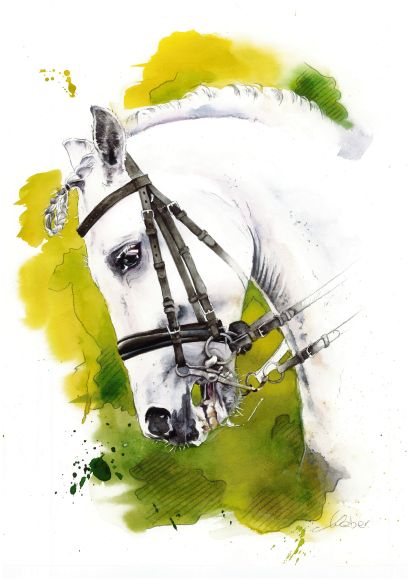 Pégase - a Paint Artwork by Aqualowe