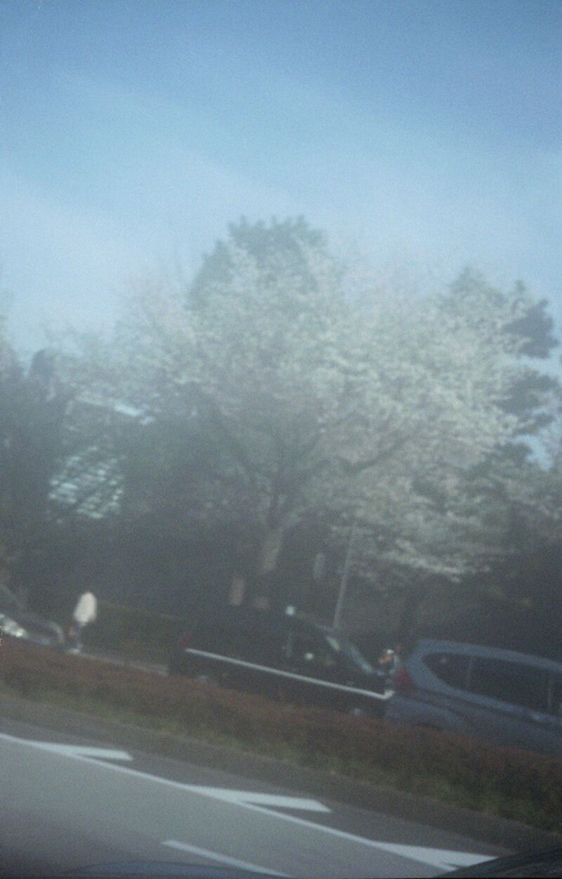 fleeting thoughts - a Photographic Art by masahiro kanamori