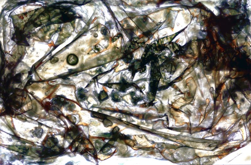 Abisso stratificato - a Paintings by ElisabettAccoto