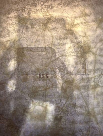 I.A. (intrecci aperti)     4 - a Photographic Art Artwork by Luca Maria Malaguti