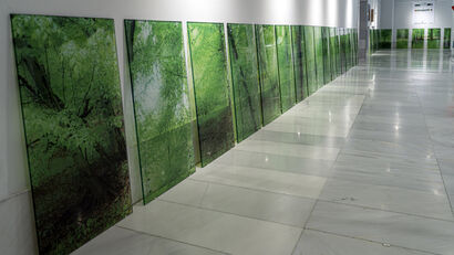 The Secret Forest Is a Place Within the Soul - a Sculpture & Installation Artowrk by Mario Valdés