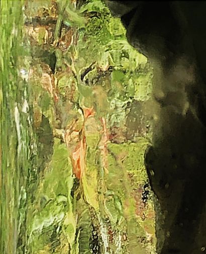 ShapeShifter - A Photographic Art Artwork by E Bee : LightExpressionist