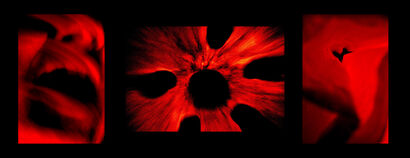 Red - A Photographic Art Artwork by firt