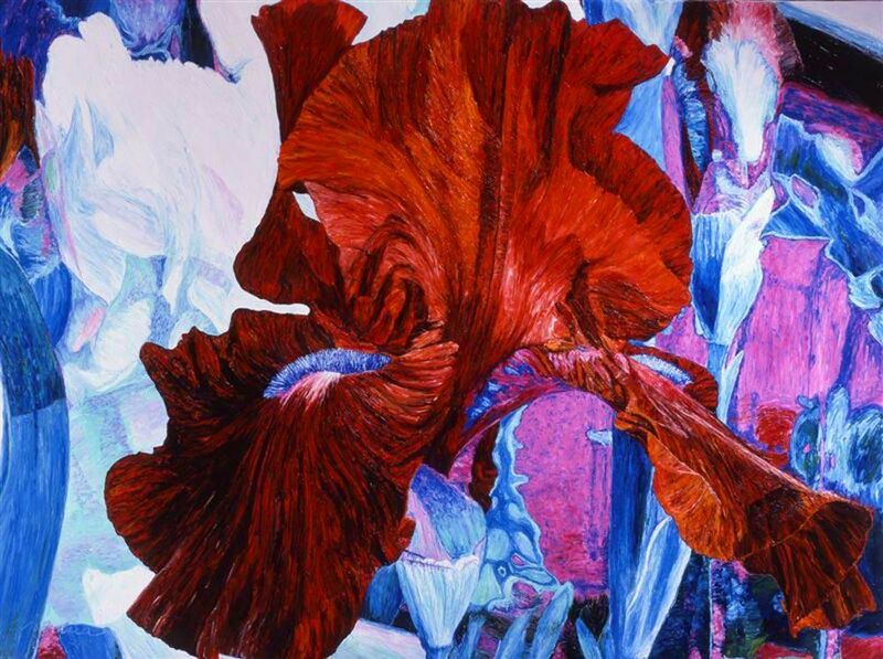 Iris rosso - a Paint by Angelica Cioppa