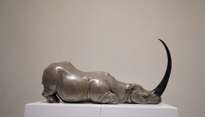 The story of the rhinoceros - a Sculpture & Installation Artowrk by 赵永昌