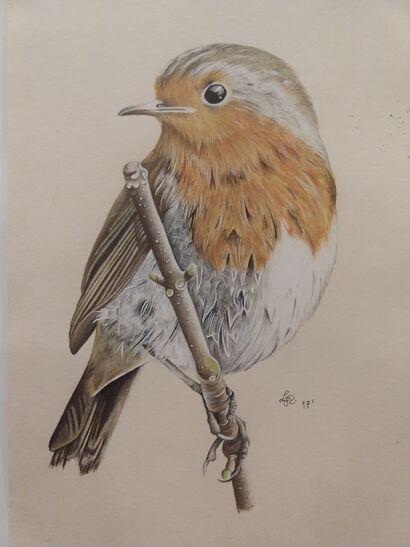 The robin - A Paint Artwork by Leonor  Ilharco Ferreira