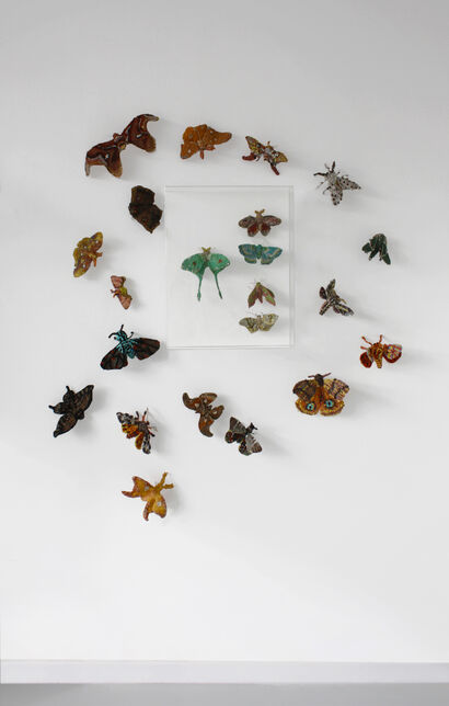 A WALL WITH MOTHS - a Sculpture & Installation Artowrk by Moth