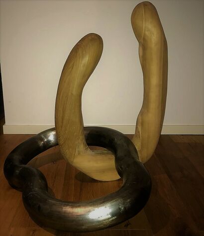 LA VIDA DA MUCHAS VUELTAS  - a Sculpture & Installation Artowrk by Valentina Faenza