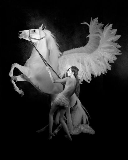 Andromeda rears Pegasus - a Photographic Art Artowrk by Paal Anand