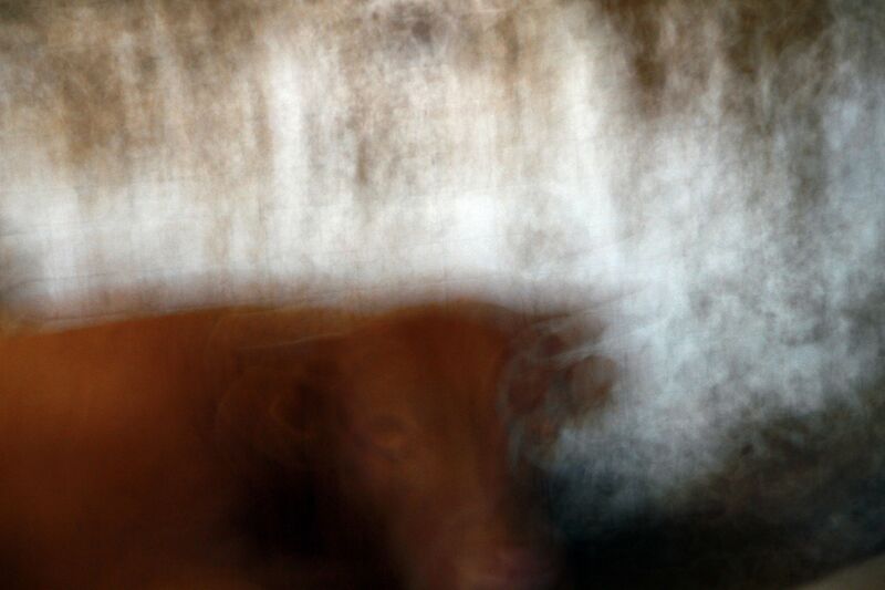 Perseo Perseo excerpt_fascination - a Photographic Art by Massimo Caramaschi
