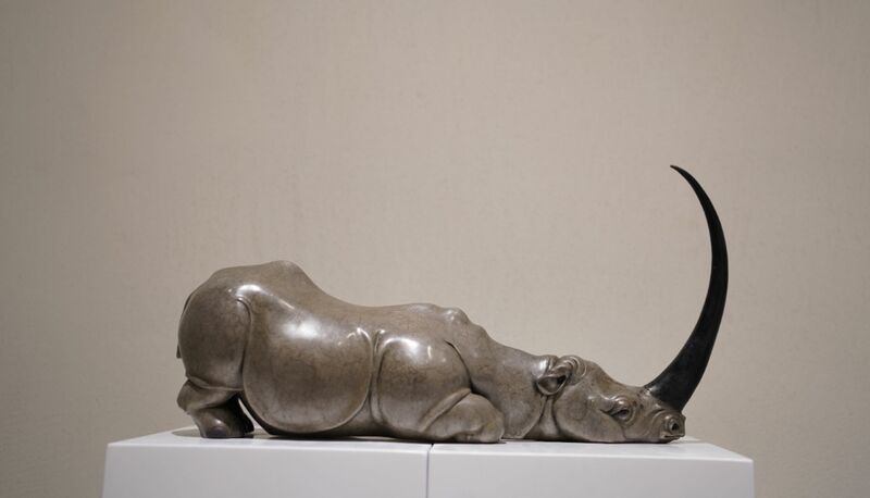 The story of the rhinoceros - a Sculpture & Installation by 赵永昌