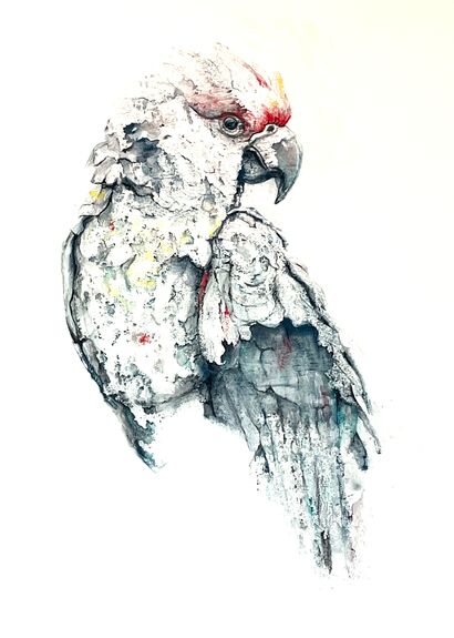 Feathered Radiance Unveiled   - a Paint Artowrk by Boutin