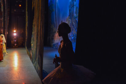 Behind the scenes. Swan Lake - A Photographic Art Artwork by Xenia Hutter