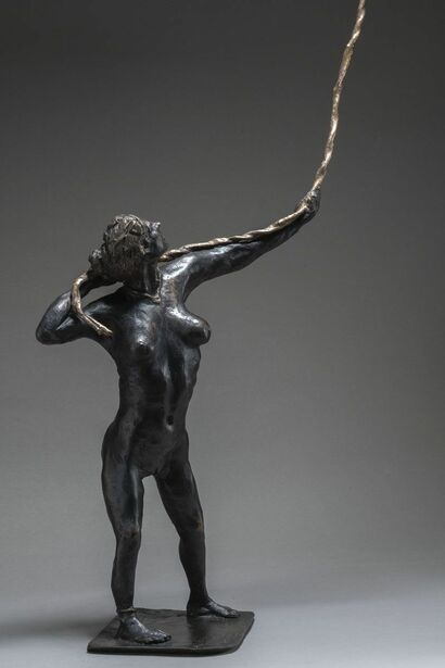 HARNESS THE STARS - a Sculpture & Installation Artowrk by DCD