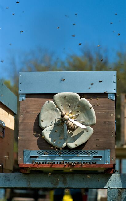 Juniper-Bee - a Sculpture & Installation Artowrk by Mauro Rutto