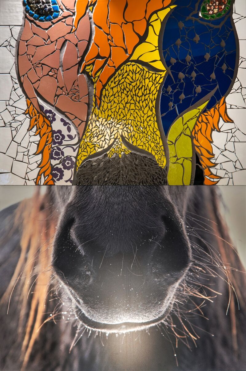 fracta - horses expressions 3 - a Sculpture & Installation by camilla filograna
