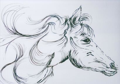 Testa di cavallo - a Paint Artowrk by Mauro Tognacci