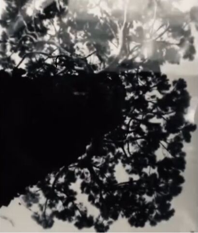 Senza soluzione (Seamlessly)  - a Video Art Artowrk by Rudina Simicija