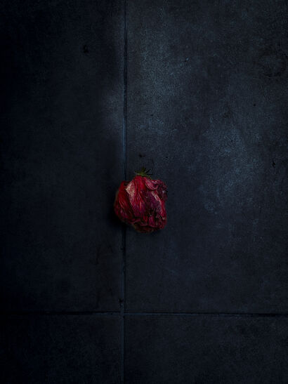 Emergence in Red - a Photographic Art Artowrk by Alva Martín