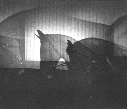 Lala - a Photographic Art Artowrk by Justine Rosenzweig