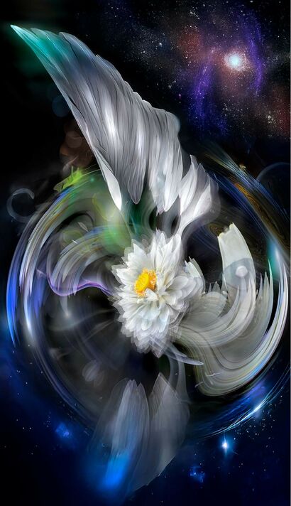 Lotus galaxy 07 kp - a Photographic Art Artowrk by Akitoshi Matsuhara